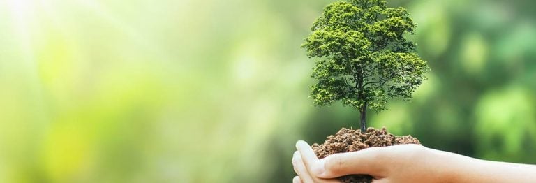 medio ambiente