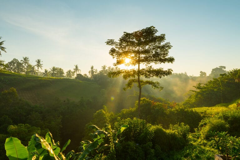 COP 16 Corporate Sustainability Reports